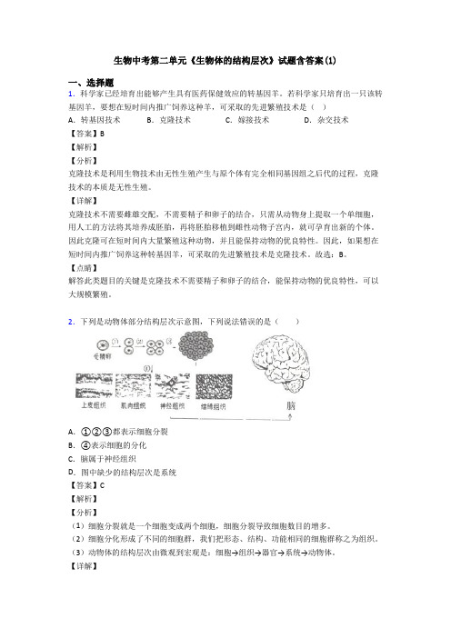 生物中考第二单元《生物体的结构层次》试题含答案(1)