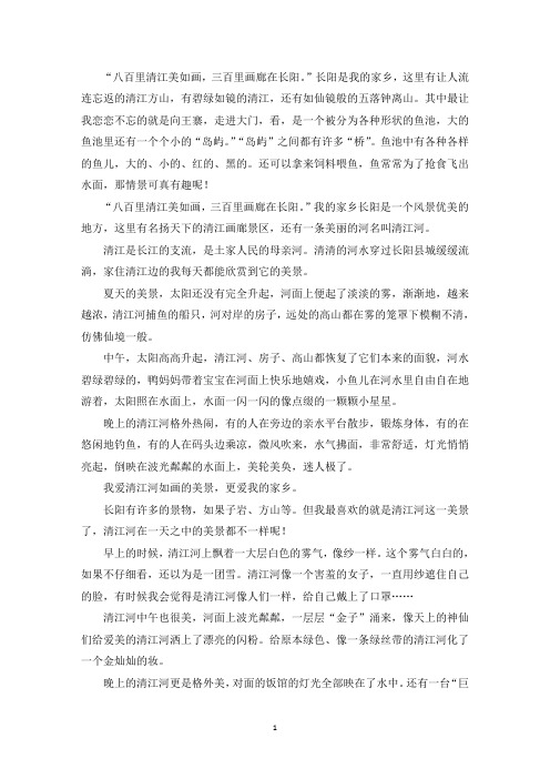 精选向王寨作文400字