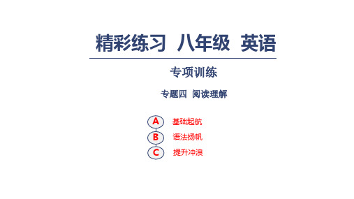 人教新目标八年级英语上册习题课件：专项训练 专题四 阅读理解(共41张PPT).pptx