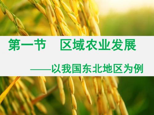 高中地理第四章 4.1区域农业发展——以我国东北地区为例