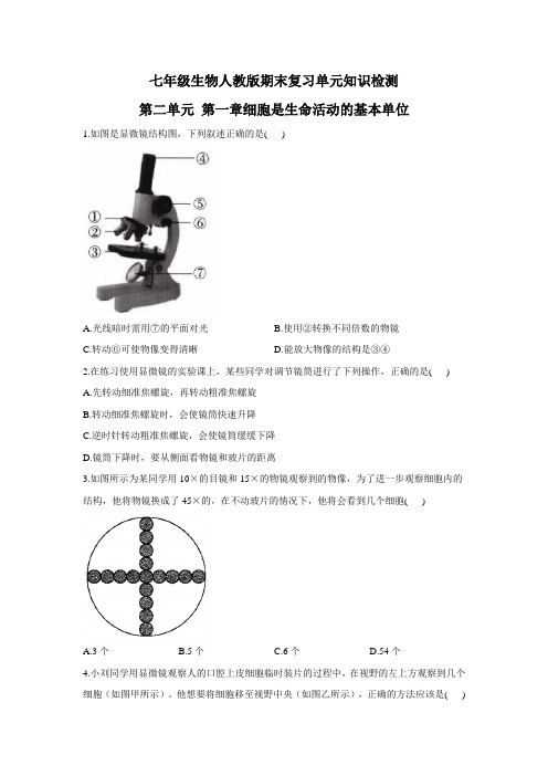 人教版七年级生物上册期末复习单元知识检测 第二单元 第一章细胞是生命活动的基本单位【有答案】