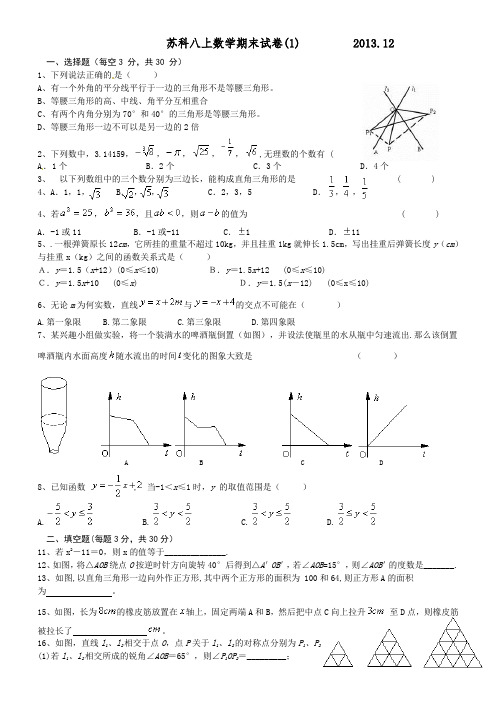 2013新教材苏科版数学八年级上册期末试卷(含答案)