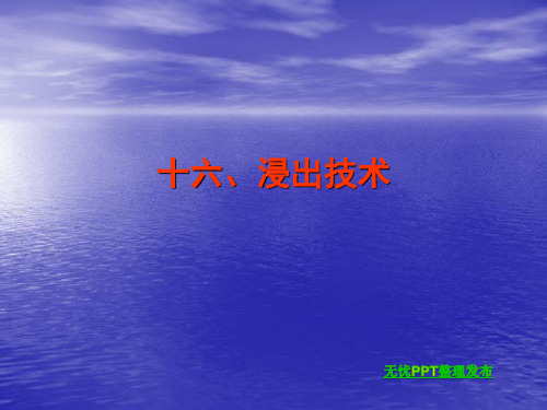 浸出技术