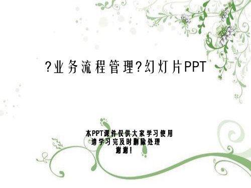 《业务流程管理》幻灯片PPT