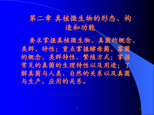 第二章真核微生物的类群与形态构造ppt课件