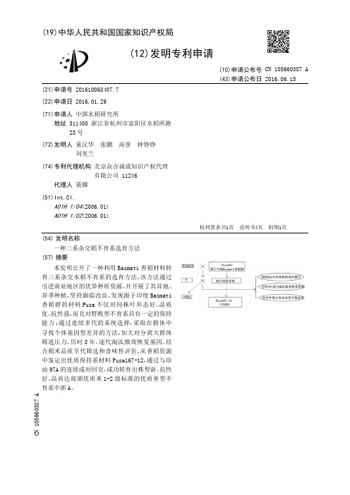 一种三系杂交稻不育系选育方法[发明专利]