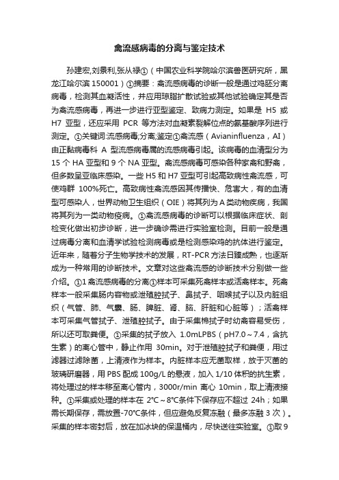 禽流感病毒的分离与鉴定技术