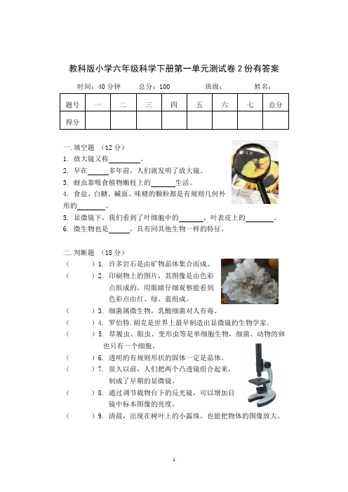 教科版六年级科学下册第一单元测试卷2份有答案