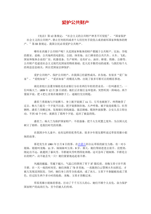 爱护公共财产