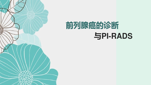 前列腺癌的诊断与PI-RADS分级