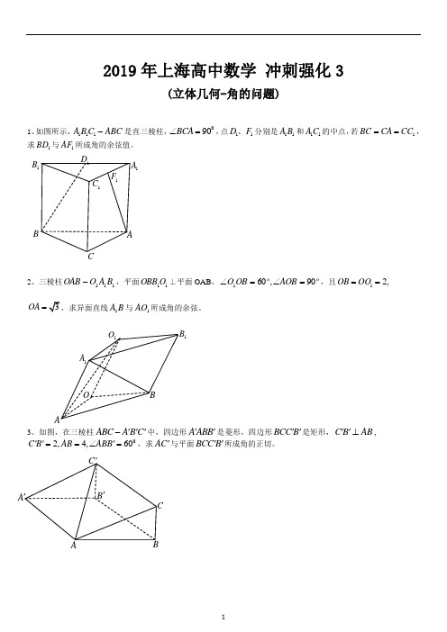 2019年上海高中数学 强化训练 立体几何3