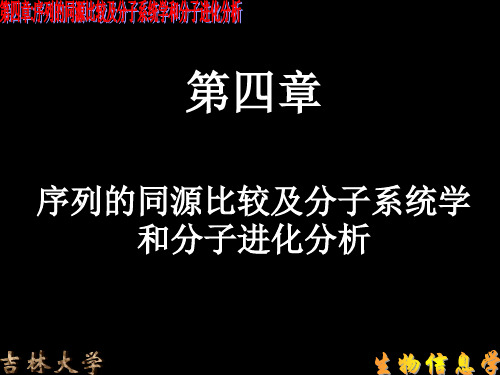 第四章、序列的同源比较及分子系统 学和分子进化分析1