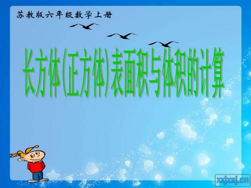 苏教版六年级上册数学长方体(正方体)表面积体积的计算练习课课件