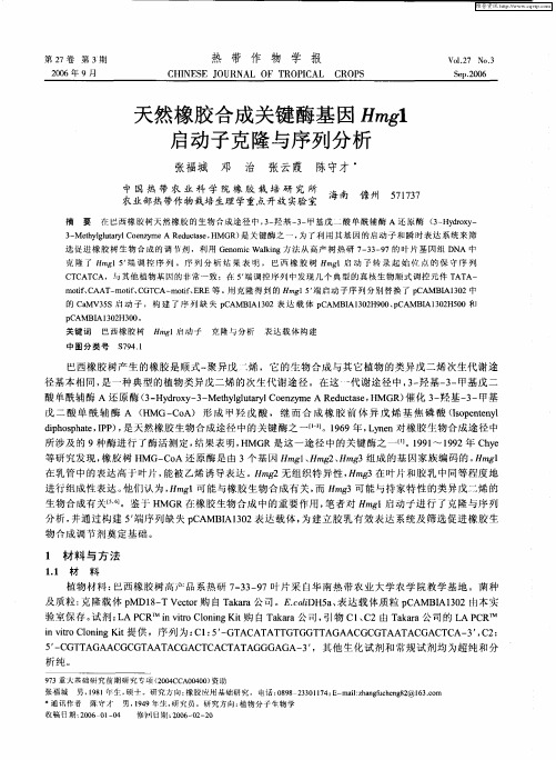 天然橡胶合成关键酶基因Hmg1启动子克隆与序列分析