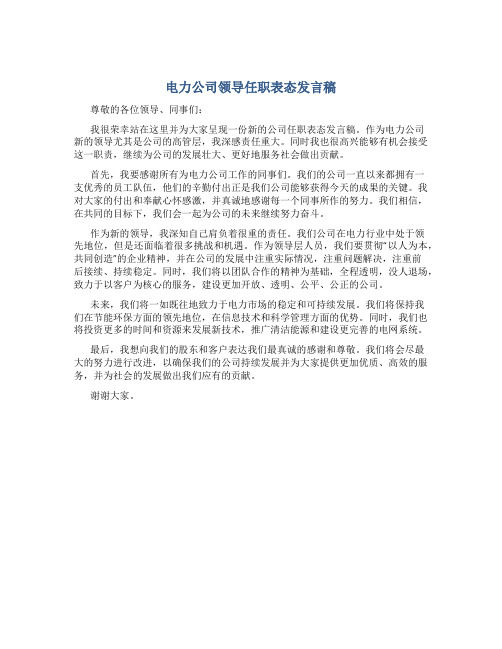 电力公司领导任职表态发言稿