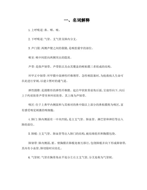 解剖学练习题—呼吸系统