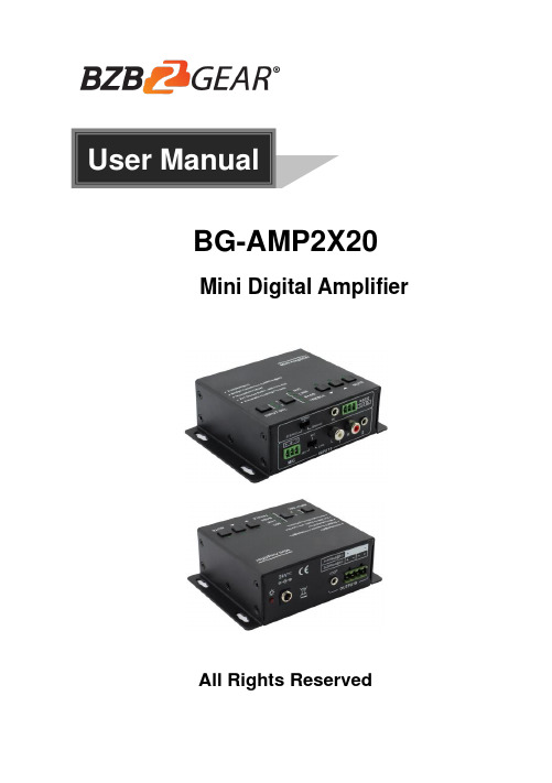 BG-AMP2X20 Mini数字放大器用户手册说明书