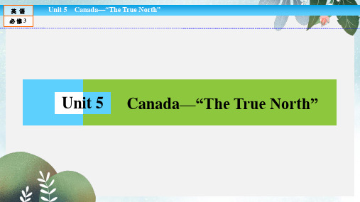 高中英语Unit5Canada_“TheTrueNorth”单元话题阅读课件新人教版必修3