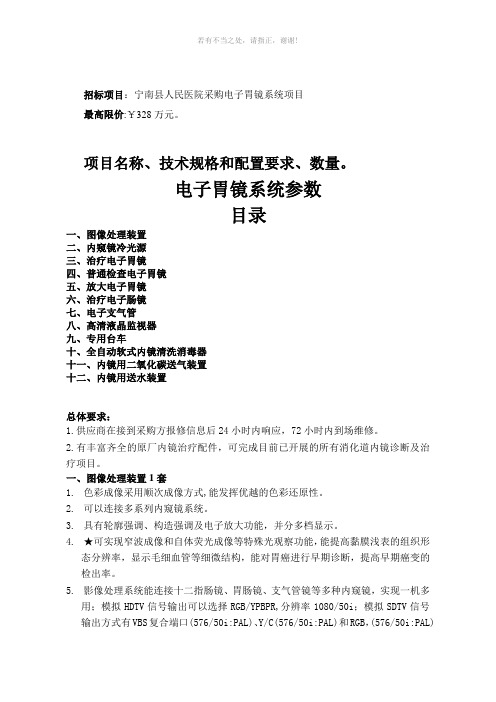 招标项目宁南县人民医院采购电子胃镜系统项目参考模板