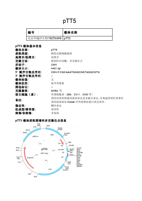 pTT5哺乳动物表达载体说明