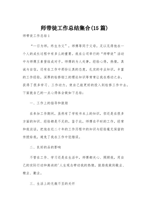 师带徒工作总结集合(15篇)