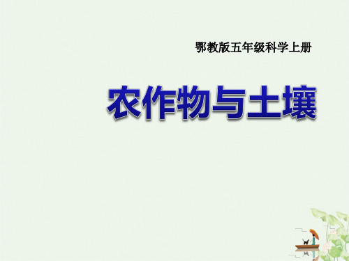 农作物与土壤农田PPT课件【教学课件】