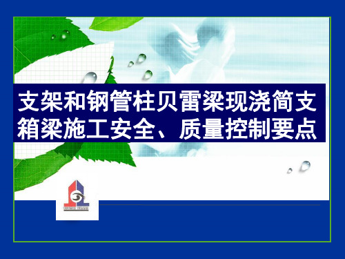 支架和钢管柱贝雷梁现浇简支箱梁施工安全质量控制要点