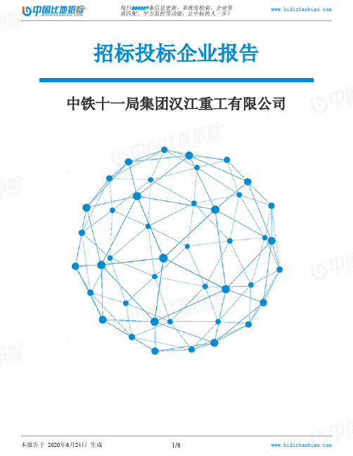 中铁十一局集团汉江重工有限公司-招投标数据分析报告