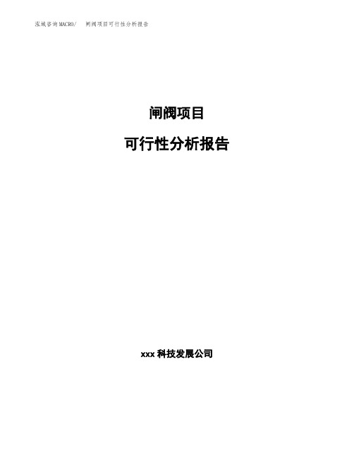 闸阀项目可行性分析报告