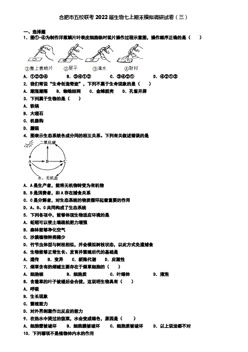 合肥市五校联考2022届生物七上期末模拟调研试卷(三)