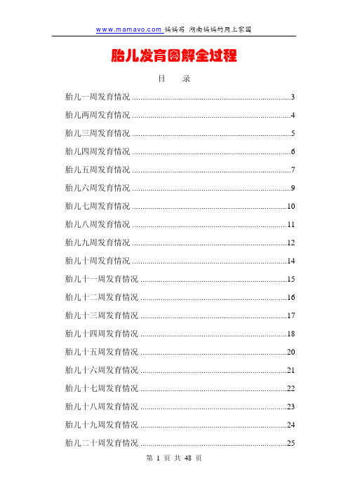 胎儿发育图解全过程