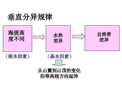 三)垂直分异规律