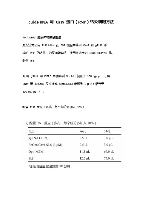 Cas9 蛋白转染细胞方法