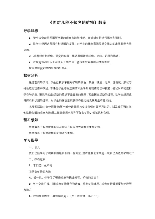 《面对几种不知名的矿物》教案1