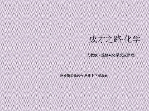 《成才之路》2013-2014学年高中化学(人教版,选修4)课件3-2-1