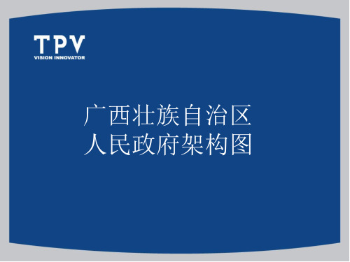 广西壮族自治区人民政府架构