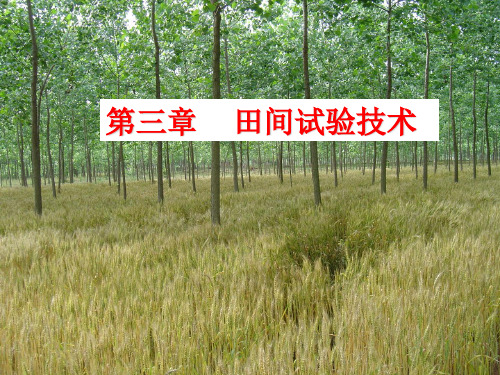试验设计与统计分析 第三章 田间试验技术