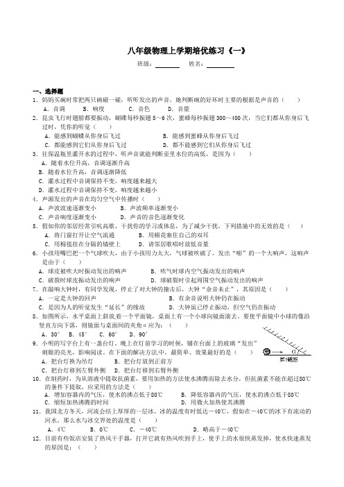 初中八年级物理上学期培优练习