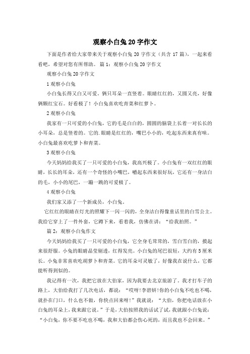 观察小白兔20字作文