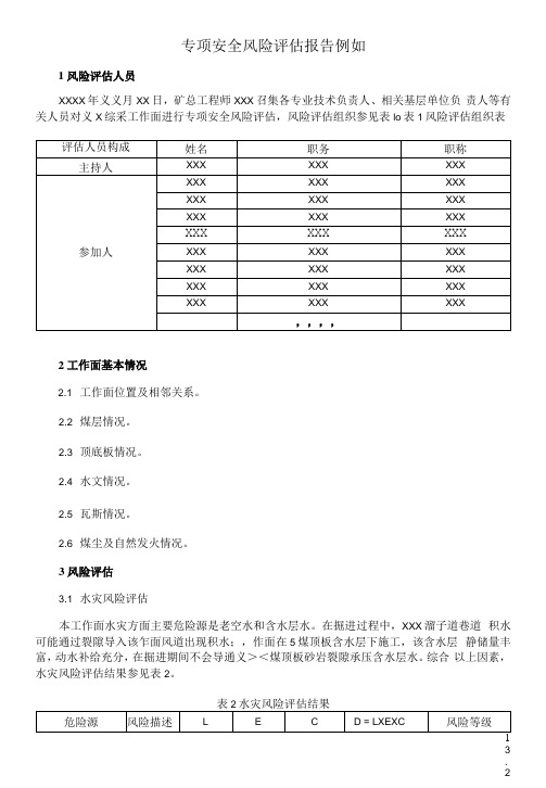 专项安全风险评估报告示例