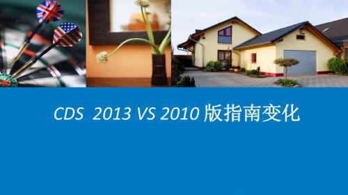 CDS2013VS2010版