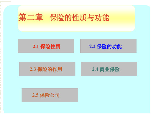 第二章保险的性质与功能