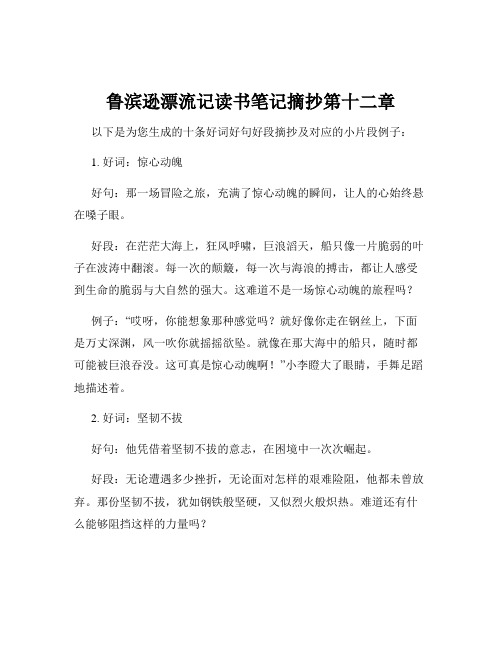 鲁滨逊漂流记读书笔记摘抄第十二章