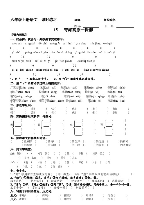 苏教版六年级语文上册 第15课 青海高原一株柳 课时练习