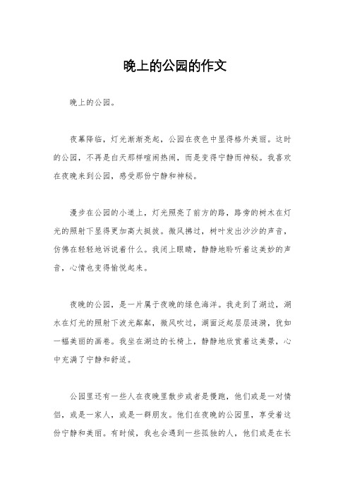 晚上的公园的作文