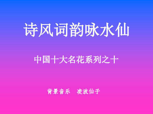 诗风词韵咏水仙----中国十大名花系列之十