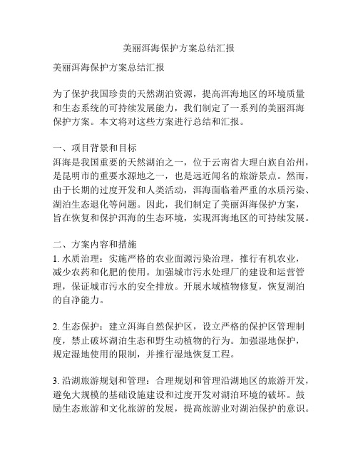 美丽洱海保护方案总结汇报