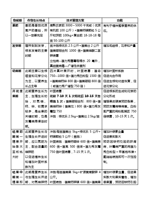 番茄种植管理技术