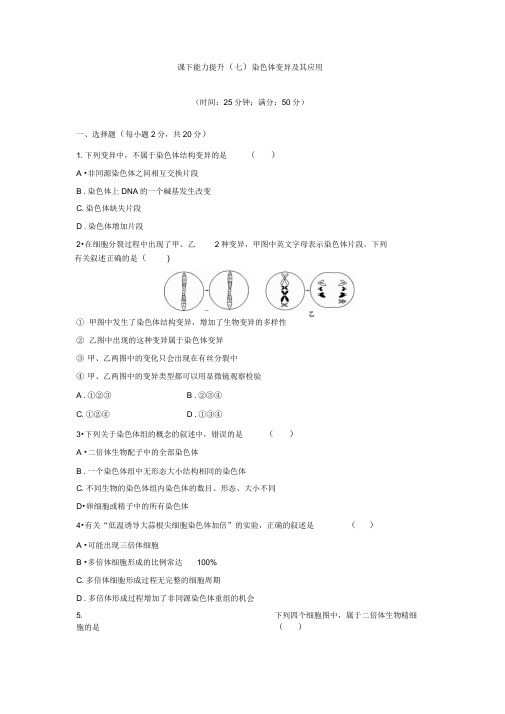 2019-2020学年高一生物苏教版必修二课下能力提升：(七)Word版含解析