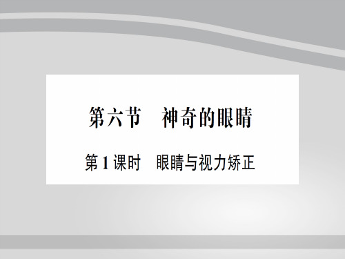 第四章 第六节第1课时 眼睛与视力矫正—2020年秋沪科版物理八年级上册作业课件